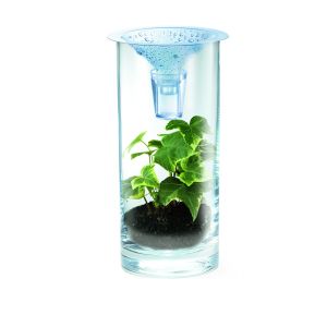 4M  Green Science DIY rinkinys &Scaron;varaus vandens mokslas
