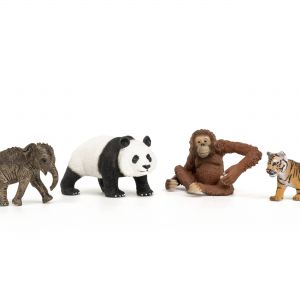 SCHLEICH  WILD LIFE Wild Life Pradinis Rinkinys