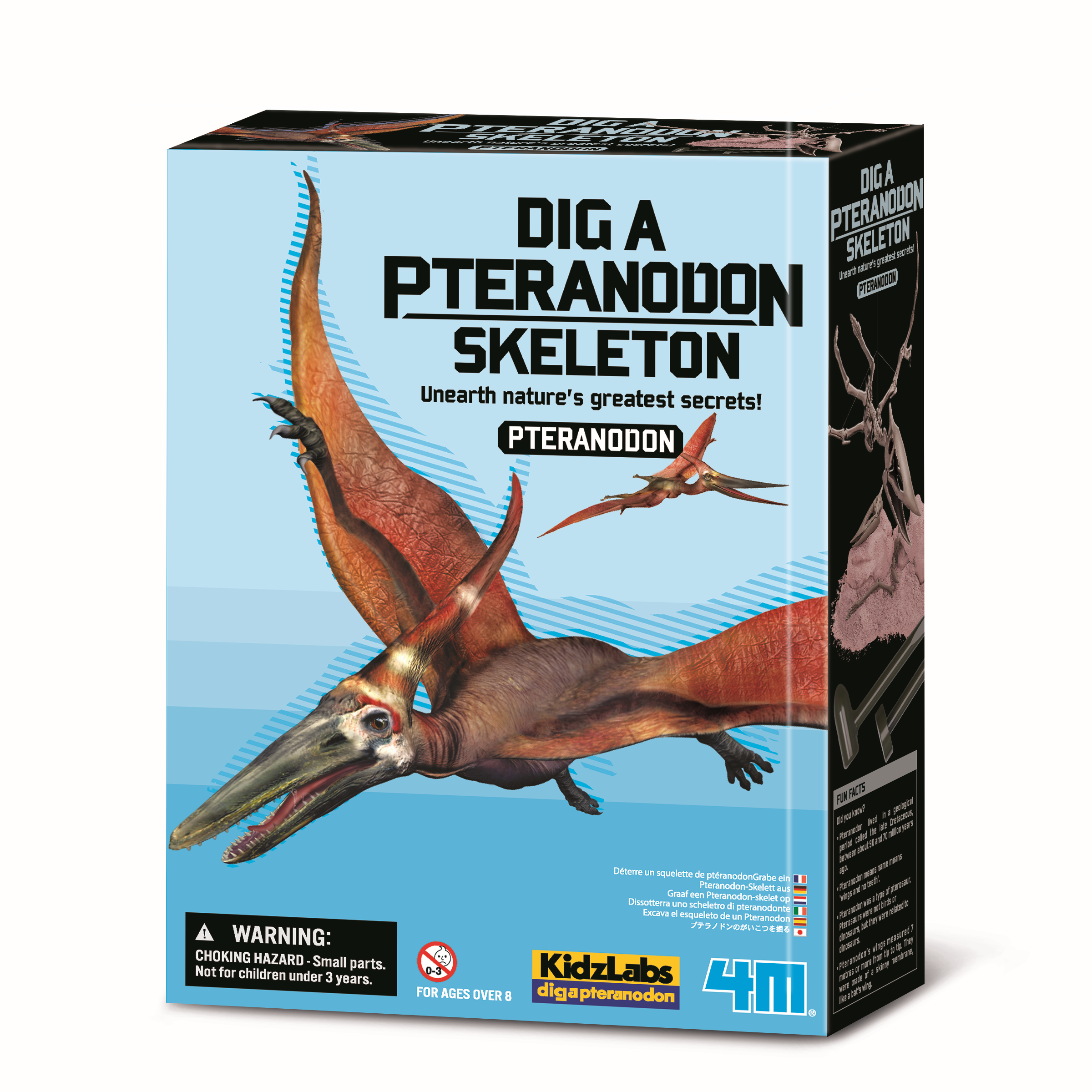 4M  Kasinėjimų rinkinys „Pteranodonas"