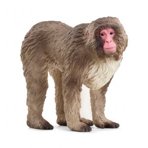 SCHLEICH  WILD LIFE Japoninė makaka