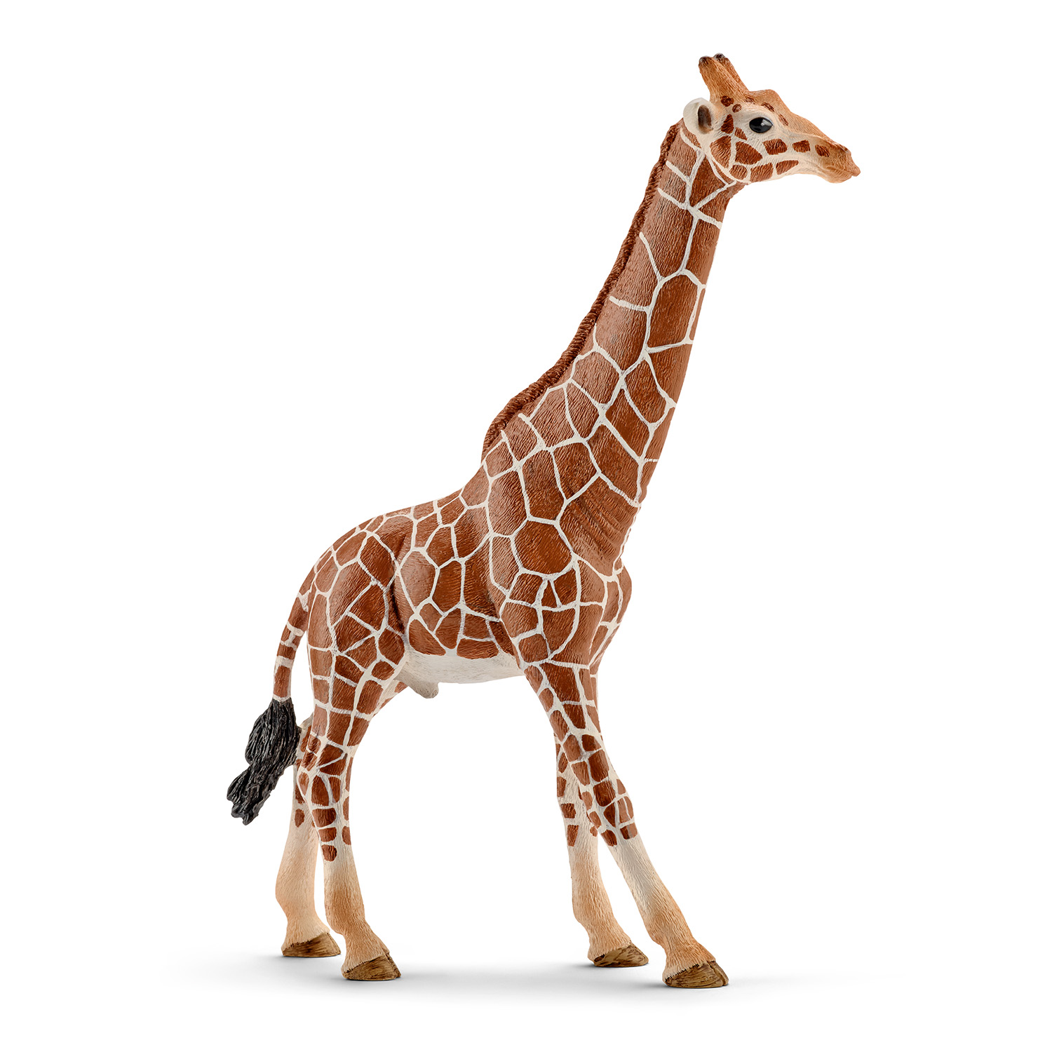 SCHLEICH  WILD LIFE Žirafos patinas