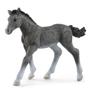 SCHLEICH  HORSE CLUB Trakėnų veislės kumeliukas