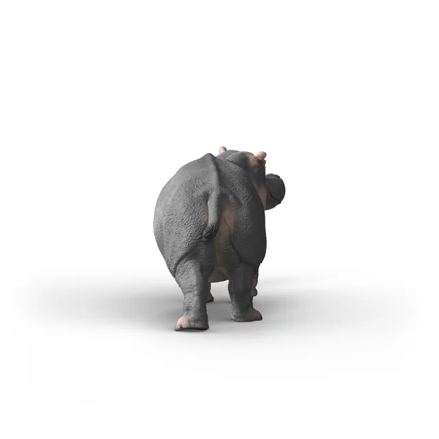 SCHLEICH WILD LIFE Begemotas &ndash; nuotrauka 4
