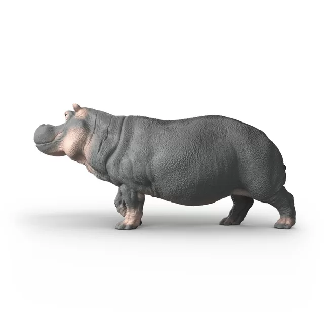 SCHLEICH WILD LIFE Begemotas &ndash; nuotrauka 3