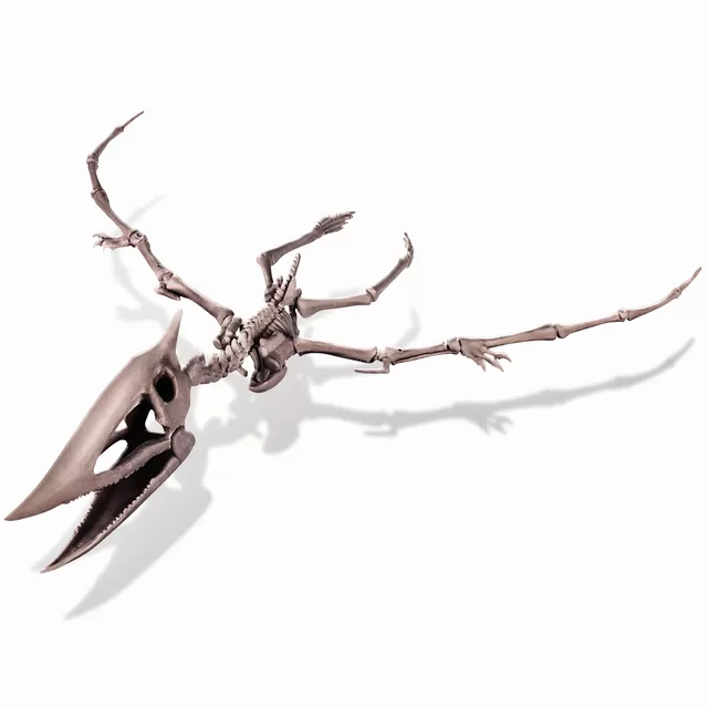 4M Kasinėjimų rinkinys &bdquo;Pteranodonas" &ndash; nuotrauka 3