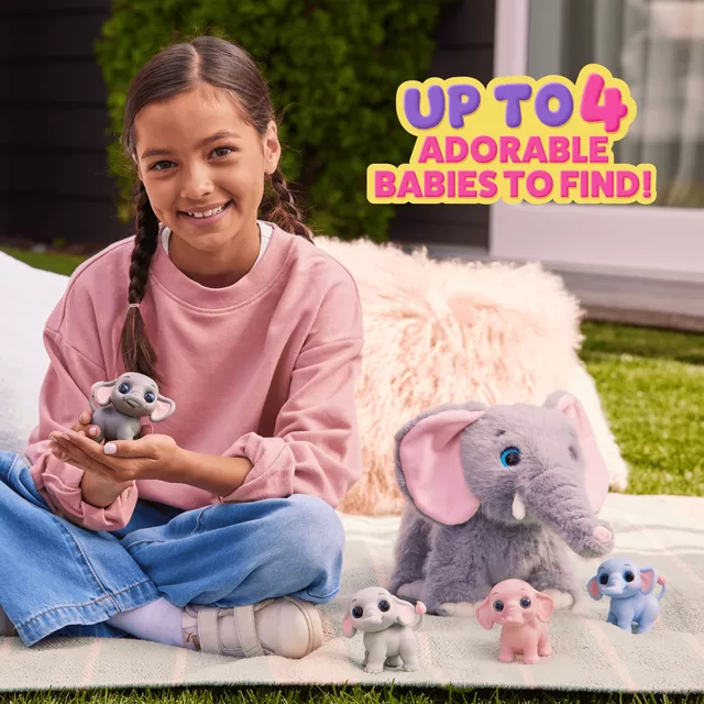 PETS ALIVE Drambliukų mama su mažyliais &ndash; nuotrauka 5