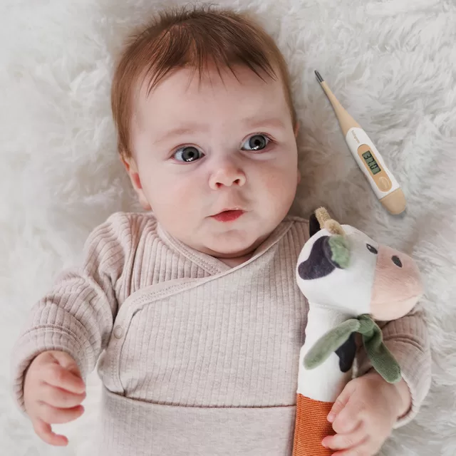 Babyono termometras skaitmeninis lankstus 1901 &ndash; nuotrauka 4