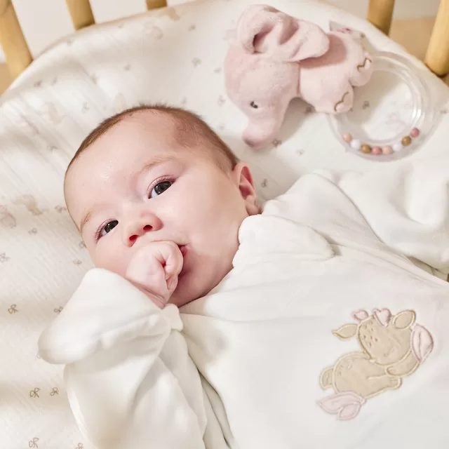 NATTOU Fanfan rattle elephant &ndash; nuotrauka 4