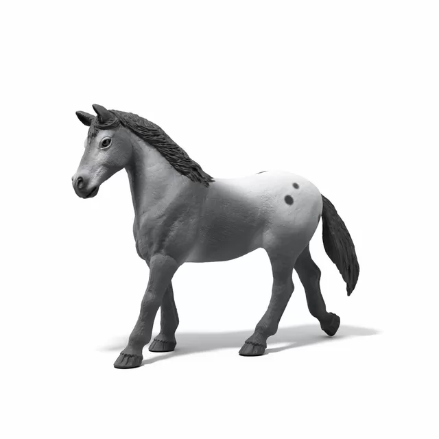 SCHLEICH HORSE CLUB Lizos turnyro treniruotė &ndash; nuotrauka 3