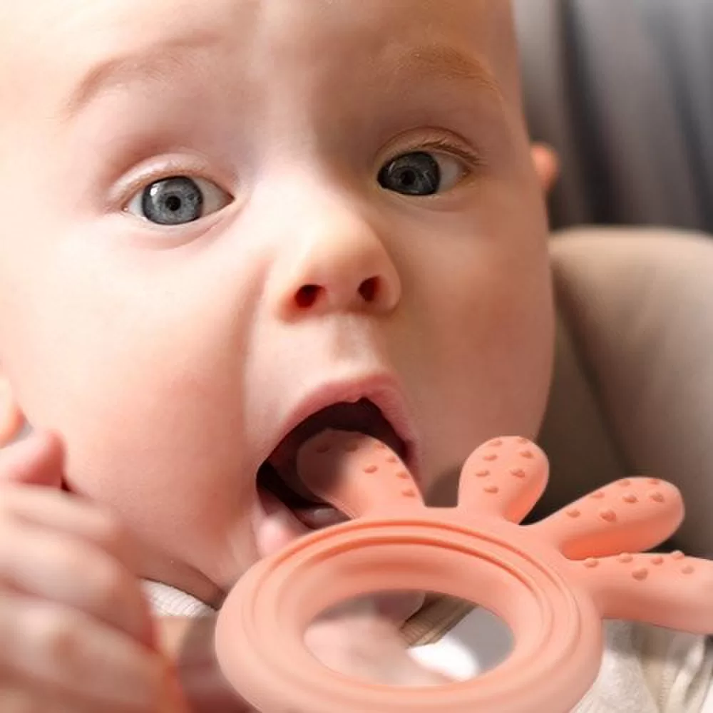 BabyOno kramtukas silikoninis a&scaron;tuonkojis rožinis 826/01 &ndash; nuotrauka 8