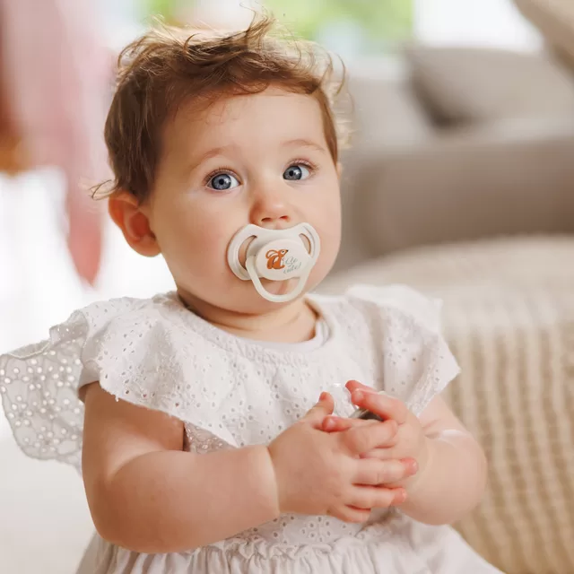 Babyono čiulptukas silikoninis simetrinis 6-18m 1669/02 &ndash; nuotrauka 2