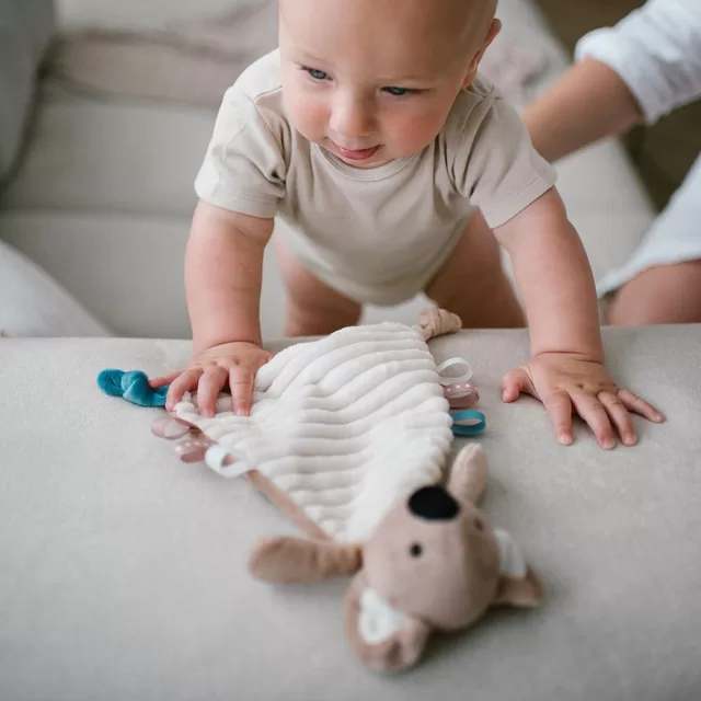 BabyOno migdukas koala charlie 1559 &ndash; nuotrauka 5