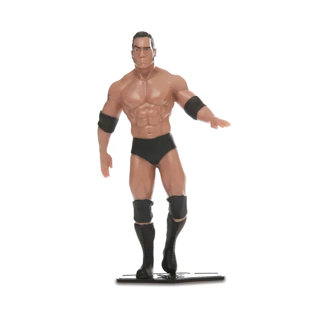 TCG Flexfigs Figūrėlė &bdquo;WWE Legendos&ldquo; &ndash; nuotrauka 9