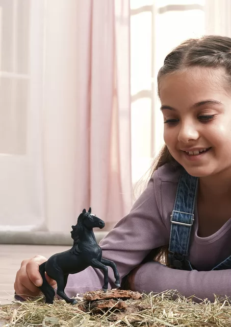 SCHLEICH HORSE CLUB Lusitano žirgas &ndash; nuotrauka 7