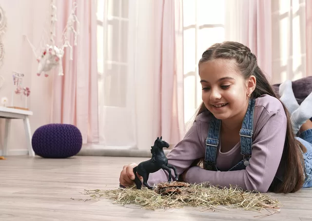 SCHLEICH HORSE CLUB Lusitano žirgas &ndash; nuotrauka 6