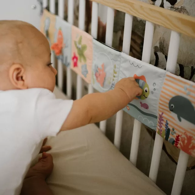 BabyOno knygutė dvipusė jūros gelmėse 1563 &ndash; nuotrauka 9