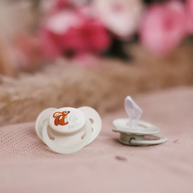 Babyono čiulptukas silikoninis anatominis 6-18m 1670/02 &ndash; nuotrauka 3