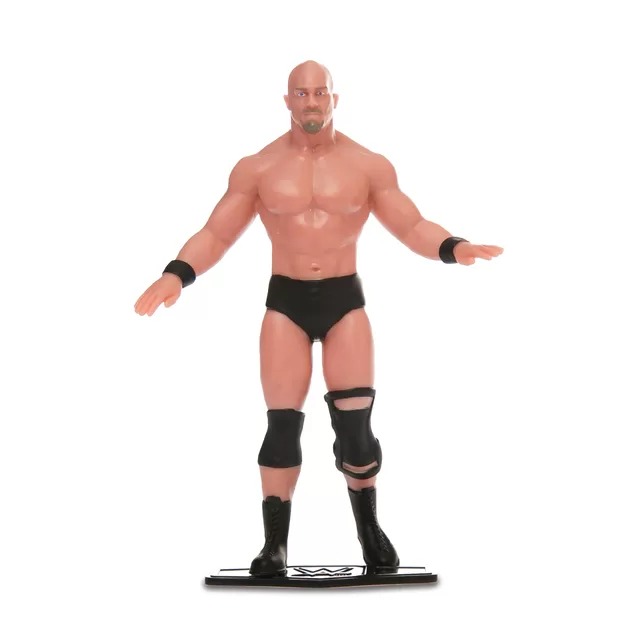 TCG Flexfigs Figūrėlė &bdquo;WWE Legendos&ldquo; &ndash; nuotrauka 12
