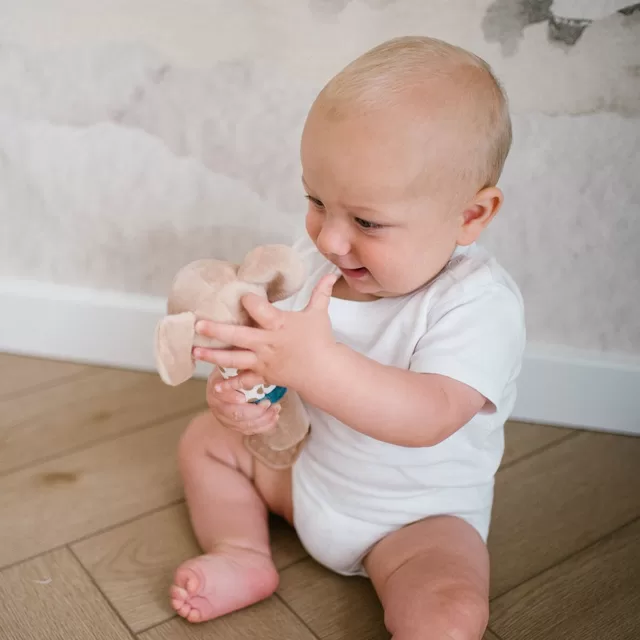 BabyOno Babyono cypsiukas koala charlie 1560 &ndash; nuotrauka 5