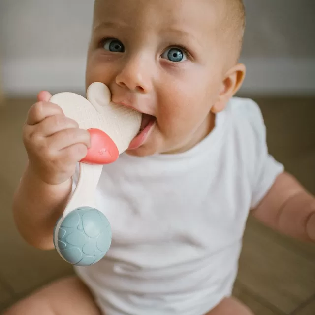 BabyOno bar&scaron;kutis su kramtuku gėlė 1589 &ndash; nuotrauka 5