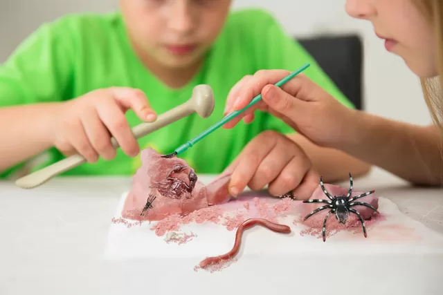 4M Vaiki&scaron;ka laboratorija: &scaron;iurpių ropojančių gyvių kasinėjimo rinkinys &ndash; nuotrauka 6
