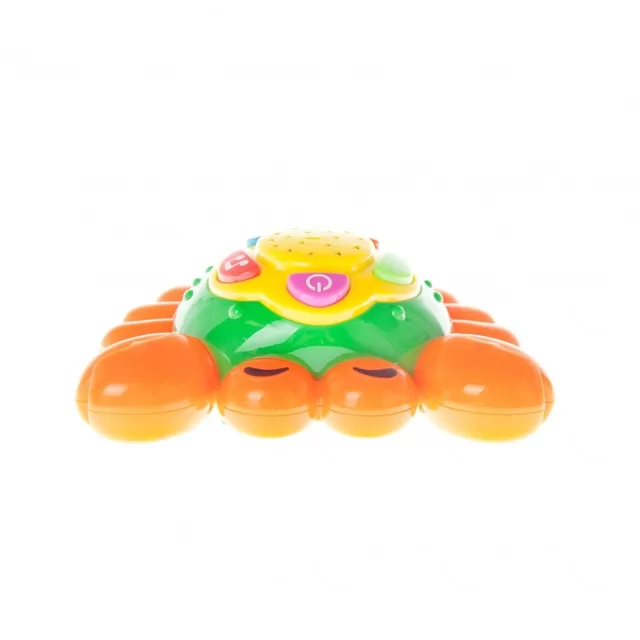 BamBam linksmas krabas su garsais 359912 &ndash; nuotrauka 3