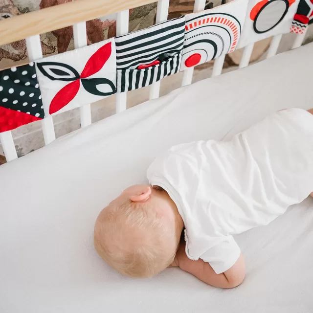 BabyOno knygutė dvipusė jūros gelmėse 1563 &ndash; nuotrauka 8