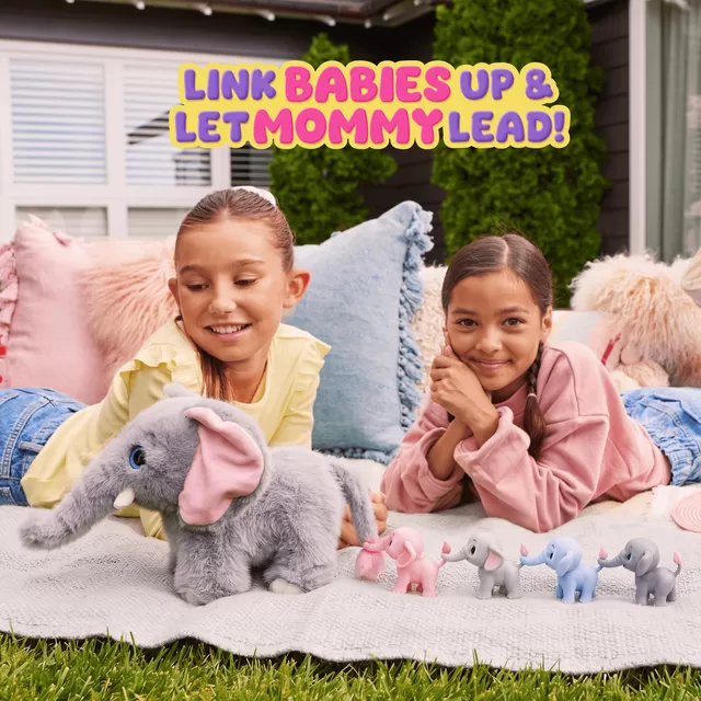 PETS ALIVE Drambliukų mama su mažyliais &ndash; nuotrauka 4