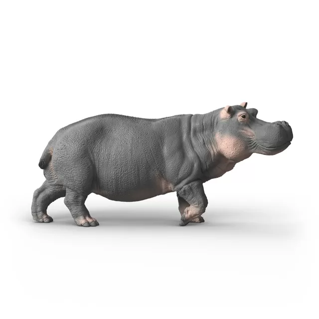 SCHLEICH WILD LIFE Begemotas &ndash; nuotrauka 2