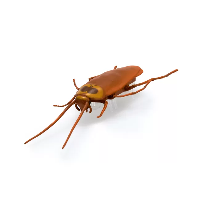 HEX BOTS HEX Interaktyvūs nano gyviai, 5 vnt. &ndash; nuotrauka 5