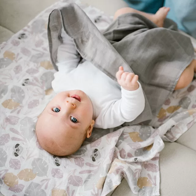 BabyOno vystyklai medvilniniai 3 vnt pilki 348/10 &ndash; nuotrauka 6