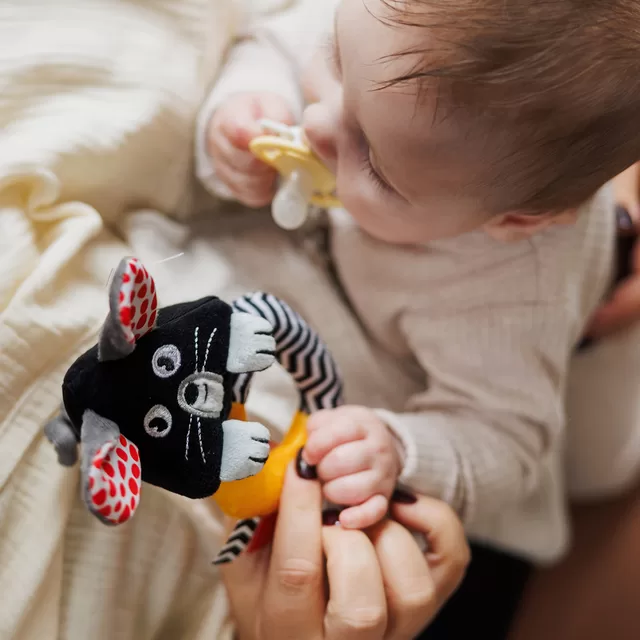 Babyono žaislas bar&scaron;kutis peliukas 1677 &ndash; nuotrauka 4