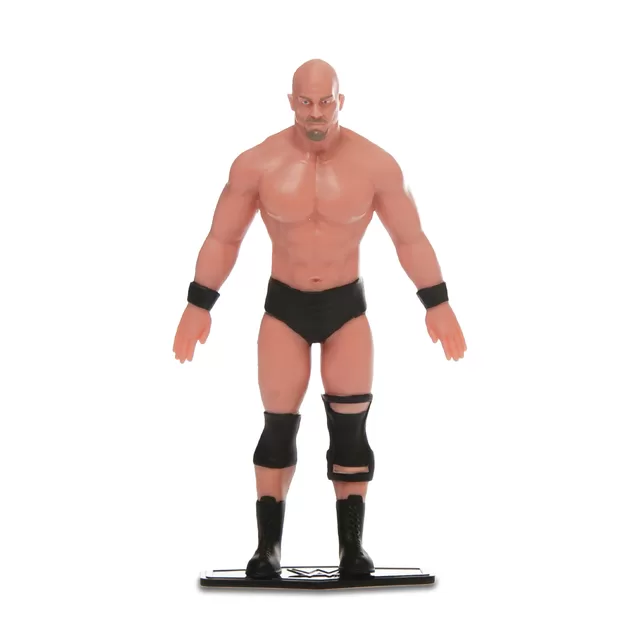 TCG Flexfigs Figūrėlė &bdquo;WWE Legendos&ldquo; &ndash; nuotrauka 11