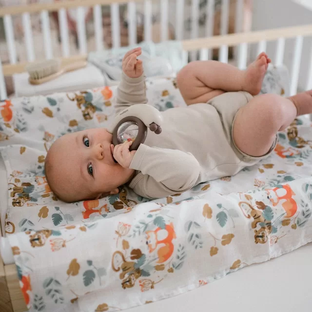 BabyOno bar&scaron;kutis sraigė 1547 &ndash; nuotrauka 4