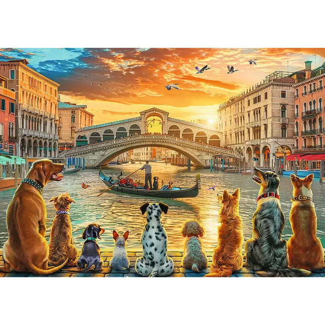 TREFL Dėlionė &bdquo;&Scaron;unys Venecijoje&ldquo;, 1000 det. &ndash; nuotrauka 2
