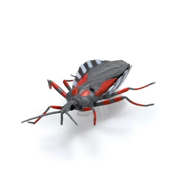 HEX BOTS HEX Interaktyvūs nano gyviai, 5 vnt. &ndash; nuotrauka 4