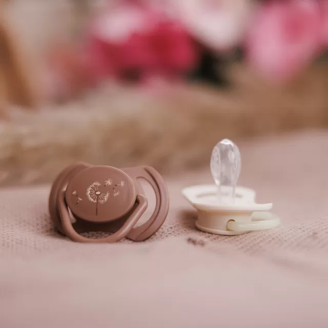 BabyOno čiulptukas silikoninis simetrinis 18m+ 1669/03 &ndash; nuotrauka 6