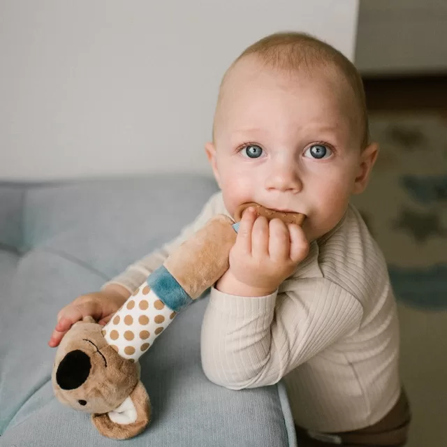 BabyOno Babyono cypsiukas koala charlie 1560 &ndash; nuotrauka 4