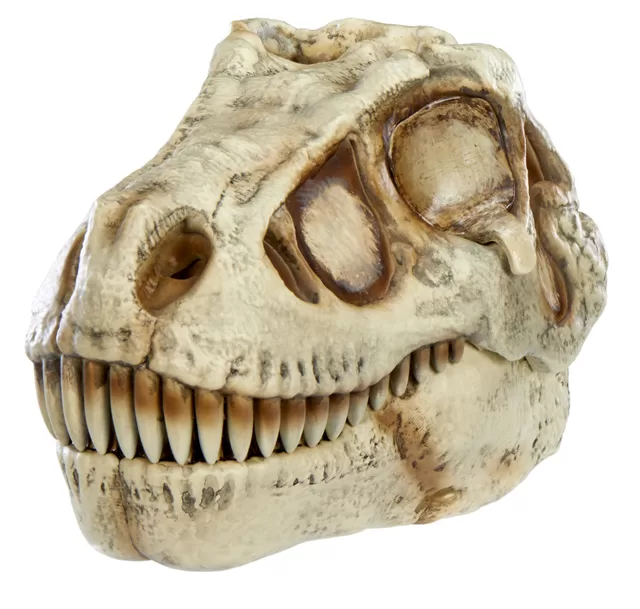 GROSSMOS Interaktyvus rinkinys Dino &ndash; nuotrauka 2