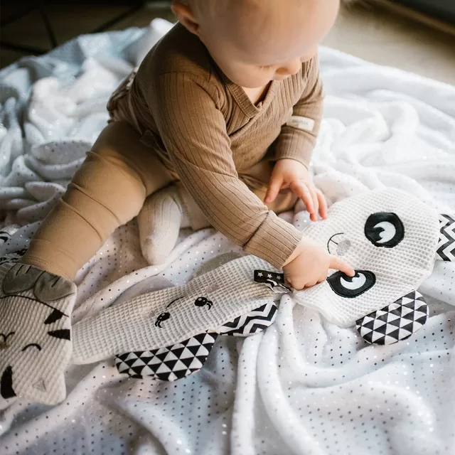 BabyOno migdukas plok&scaron;čias debesėlis 1534 &ndash; nuotrauka 6