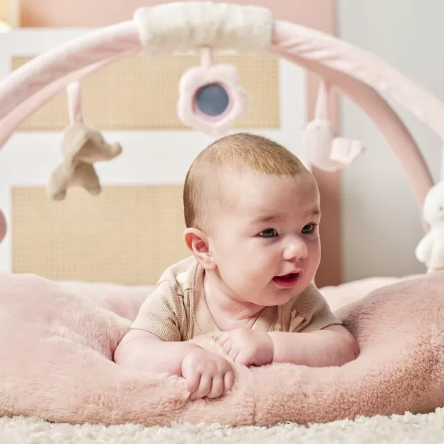 NATTOU Fanfan Stuffed playmat with arches &ndash; nuotrauka 5