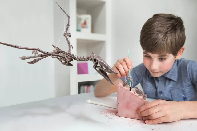 4M Kasinėjimų rinkinys &bdquo;Pteranodonas" &ndash; nuotrauka 5