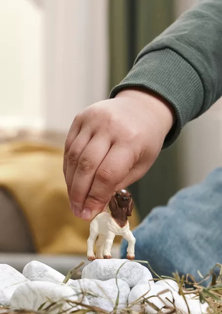 SCHLEICH FARM WORLD BOER Ožiukas &ndash; nuotrauka 3