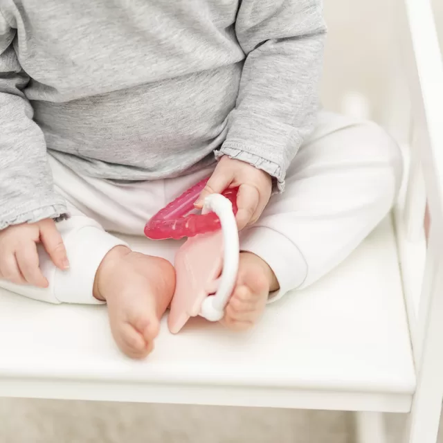 NATTOU &Scaron;aldantis kramtukas, rožinis &ndash; nuotrauka 2
