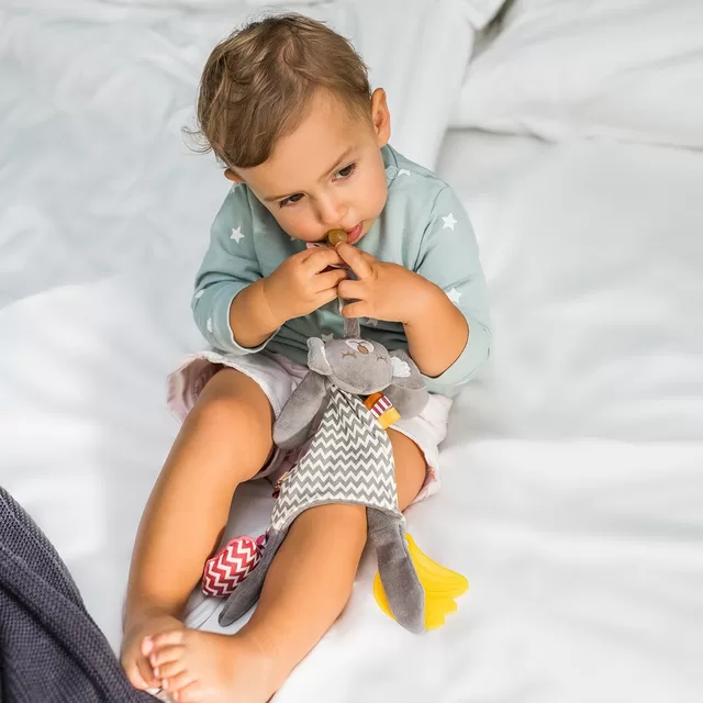 BabyOno mink&scaron;tas žaislas - migdukas su čiulptuko laikikliu, Skinny Mate Pete, 1445 &ndash; nuotrauka 4