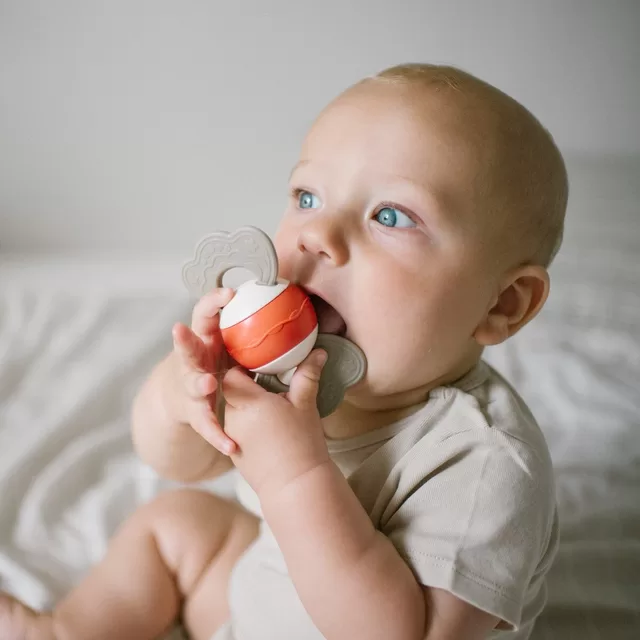 BabyOno bar&scaron;kutis su kramtuku saldainis 1587 &ndash; nuotrauka 6