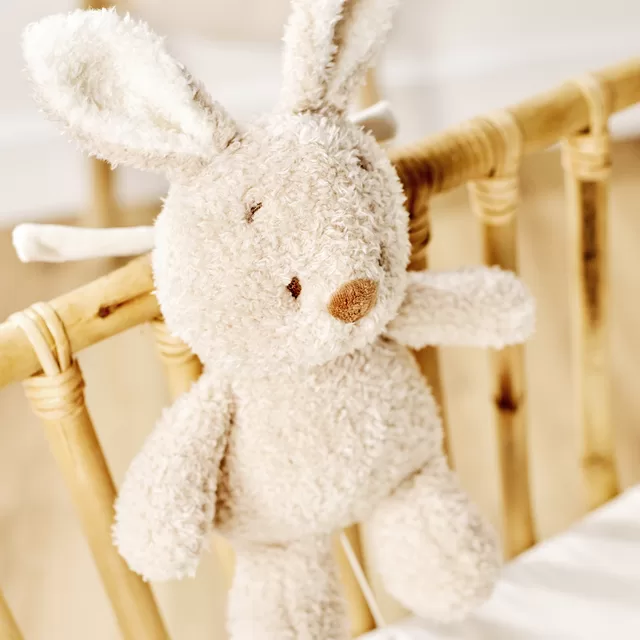 NATTOU TEDDY Muzikinis zuikutis, 16 cm &ndash; nuotrauka 2