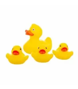 Akuku vonios žaislų rinkinys DUCKS 4 vnt., A0162 &ndash; nuotrauka 2